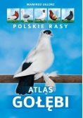 Atlas gołębi. Polskie rasy