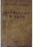Niewidomy w Gazie, 1938 r.