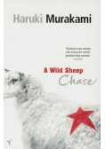 A wild sheep chase