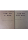 Anatomia człowieka, Tom I, II