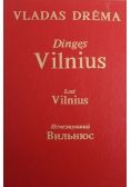 Dingęs Vilnius