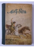 Mały Bizon
