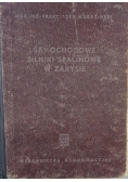 Samochodowe silniki spalinowe w zarysie