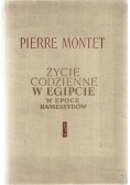 Życie Codzienne w Egipcie w Epoce Ramwssydów