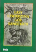 Lasy i Zwierzyna Gór Sanockich