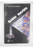 Rozbita mozaika Ekonomia poza równaniami