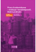 Praca środowiskowa w Polsce - tradycja i teraźniejszość