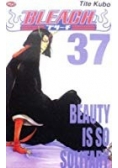 Bleach 37.  Beauty is so Solitary