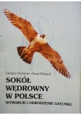 Sokół Wędrowny w Polsce