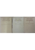 Anatomia człowieka, tom od III do V