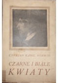 Czarne i białe kwiaty, 1922 r.