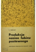 Produkcja nasion łubinu pastewnego