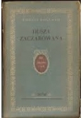 Dusza zaczarowana