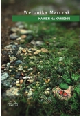 Kamień na kamieniu
