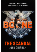 Theodore Boone The scandal
