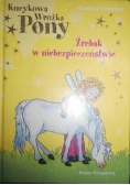 Kucykowa Wróżka Pony Źrebak w niebezpieczeństwie