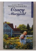 Czary Marigold