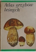 Atlas grzybów leśnych