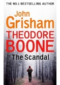 Theodore Boone The Scandal