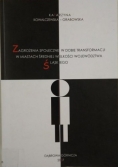 Zagrożenia społeczne w dobie transformacji w miastach średniej wielkości województwa śląskiego