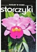 Rośliny w domu Storczyki