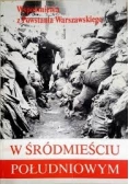W śródmieściu południowym