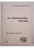 Ku doskonałości kapłana