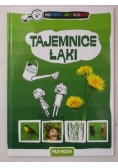 Tajemnice łąki