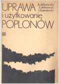 Uprawa i użytkowanie poplonów