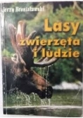 Lasy zwierzęta i ludzie