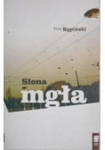 Słona mgła