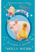 Magiczna Molly. Zwierzątka w potrzebie