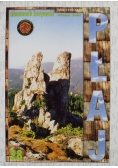 Almanach Karpacki Płaj