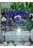 Ogród w doniczkach - komponowanie, uprawa, pielęgnacja