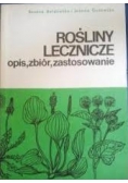 Rośliny lecznicze. Opis, zbiór zastosowanie