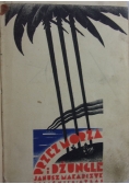 Przez morza i dżungle, 1931 r.