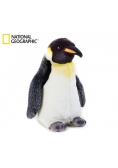 Pingwin