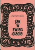 Jak w zwierciadle Eseje literackie