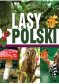 Lasy Polski