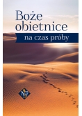 Boże obietnice na czas próby