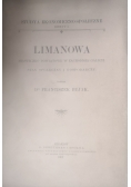 Limanowa miasteczko powiatowe w zachodniej Galicyi stan społeczny i gospodarczy, 1902 r.