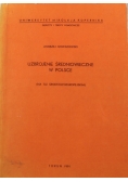 Uzbrojenie Średniowieczne w Polsce