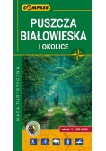 Puszcza Białowieska i okolice