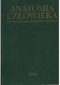 Anatomia człowieka