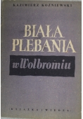 Biała plebania w Wolbromiu
