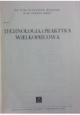 Technologia i praktyka wielkopiecowa