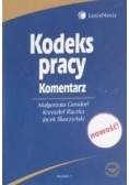 Kodeks pracy. Komentarz