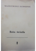 Róża światła