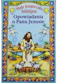 Małe książeczki biblijne Opowiadania o Panu Jezusie