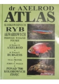 Atlas słodkowodnych ryb akwariowych
